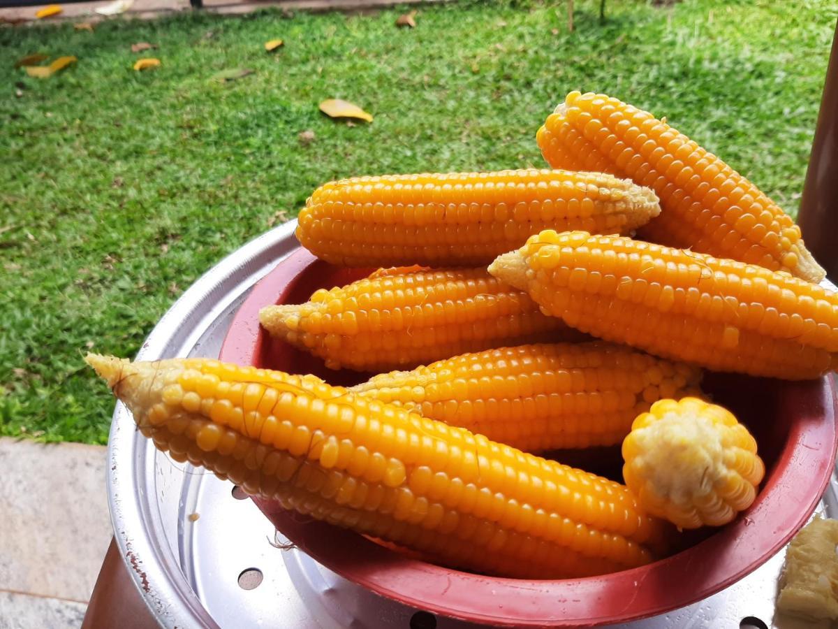 Mangohut Joy